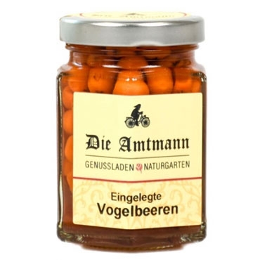 Eingelegte Vogelbeeren 