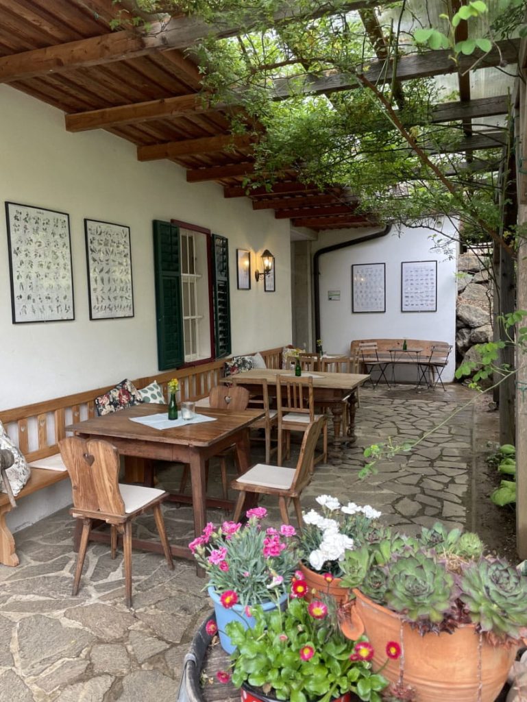Sitzgelegenheiten im Freien im Hofcafé mit Holztischen, Bänken und Blumen in Töpfen unter einer mit Weinreben bewachsenen Pergola.