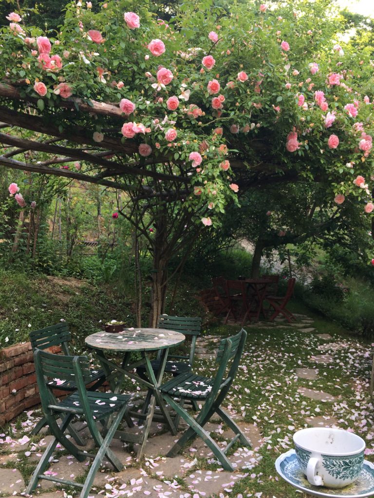 Gemütlicher Tisch im Freien unter Rosenbogen