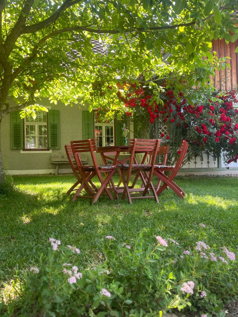 Sitzgelegenheiten im Freien unter einem Baum, mit roten Rosen und einer Bank.