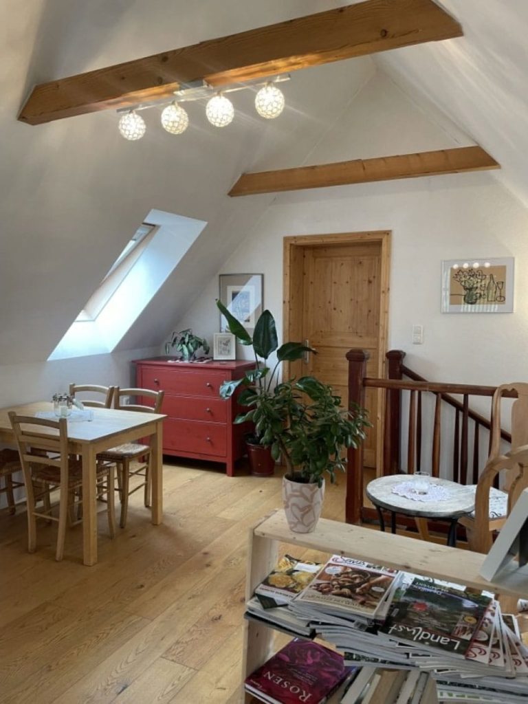 Gemütliches Dachzimmer mit Tisch, Stühlen, roter Kommode, Dachfenster, Pflanzen und Holzdekor.