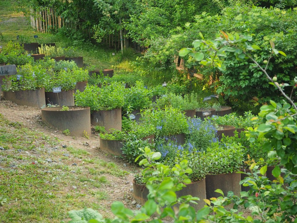 Kräutergarten mit Beschriftungsschildern