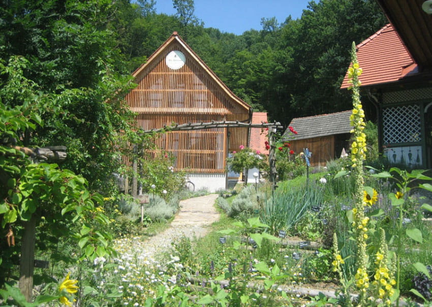 Haus vor grünem Garten