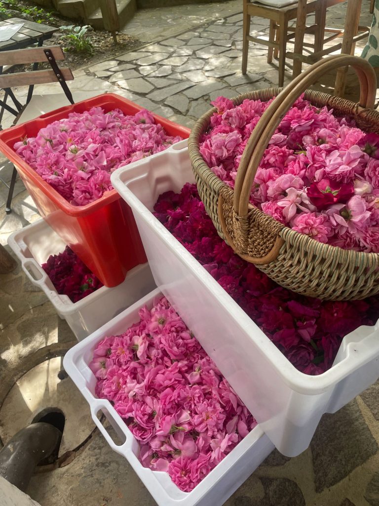 Körbe voller Rosenblüten