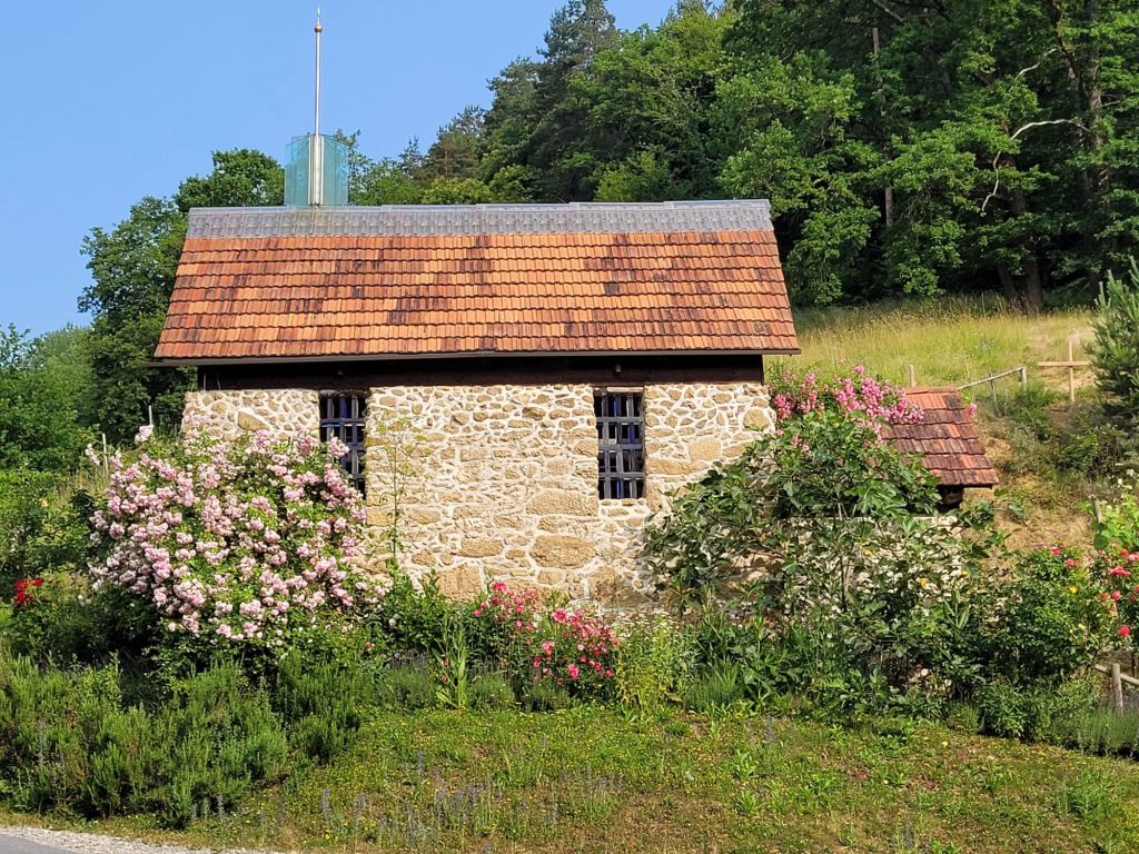 Schöpfungskapelle umgeben von Pflanzen