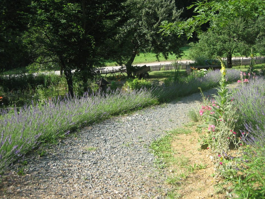 Weg durch den Garten